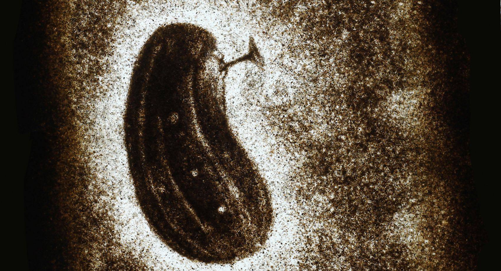 Gherking