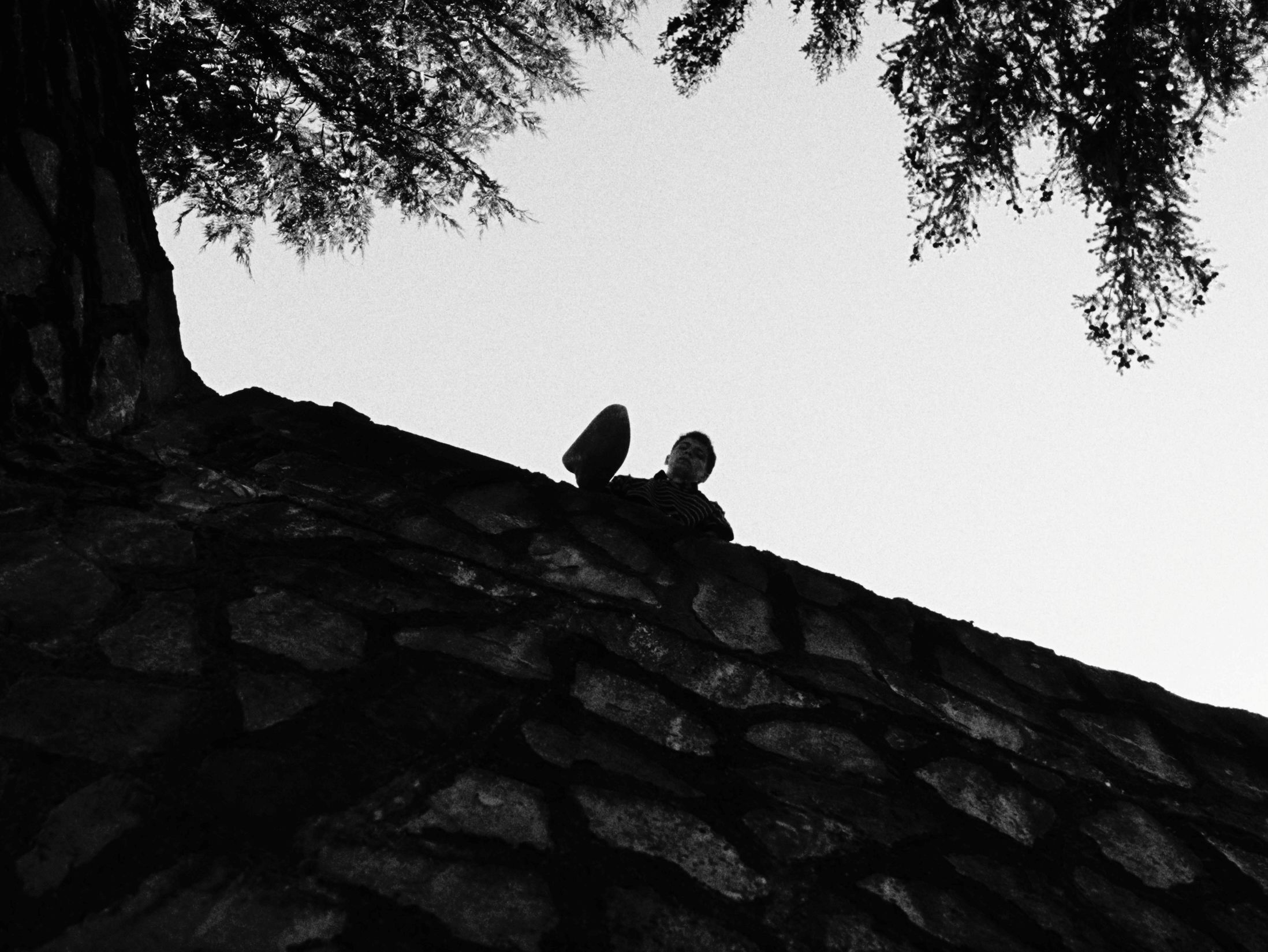 Where the Wind Buries